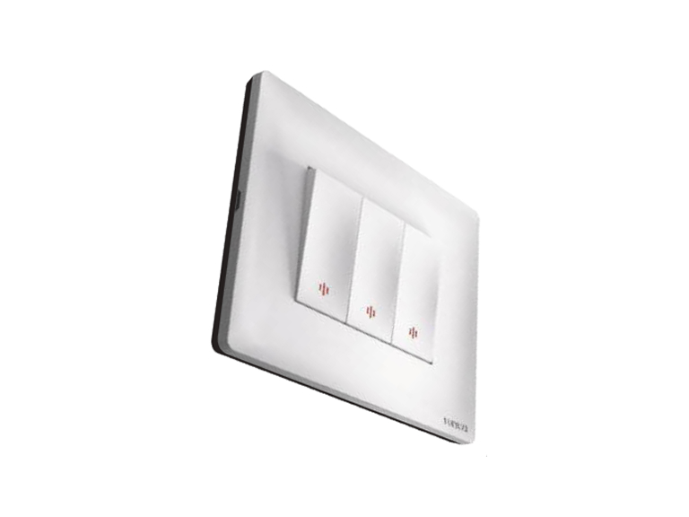Switches & Accessories